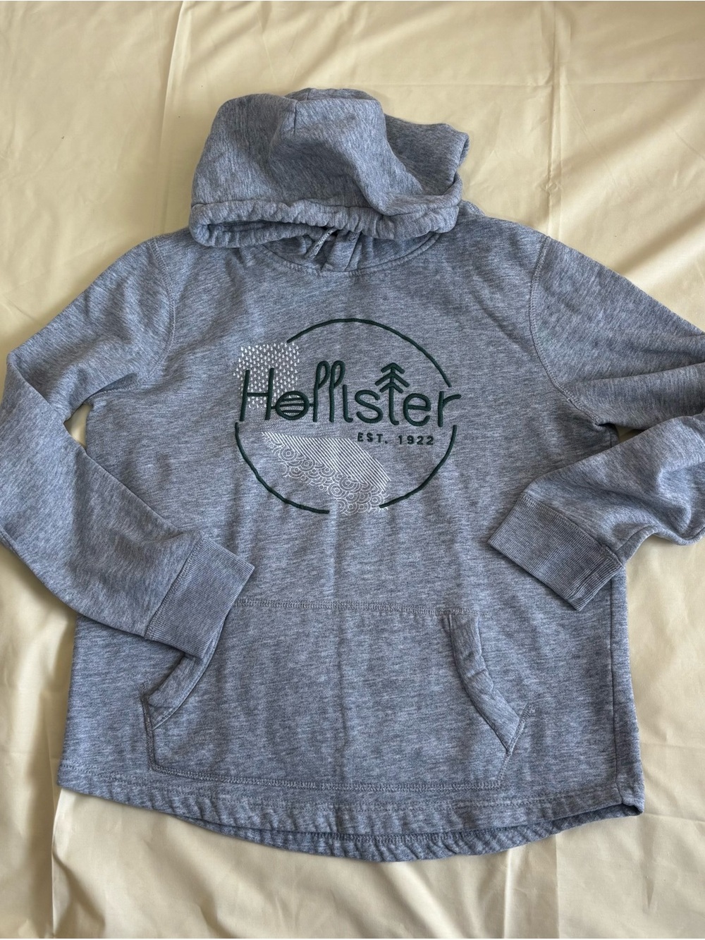 Vintage Hollister Men's Gray Hooded Sweatshirt